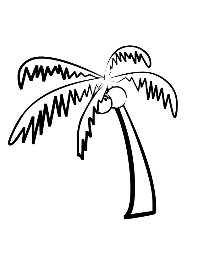 630x810 Printable Palm Tree Coloring Page