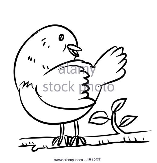 520x540 Tree Line Drawing Stock Photos Amp Tree Line Drawing Stock Images