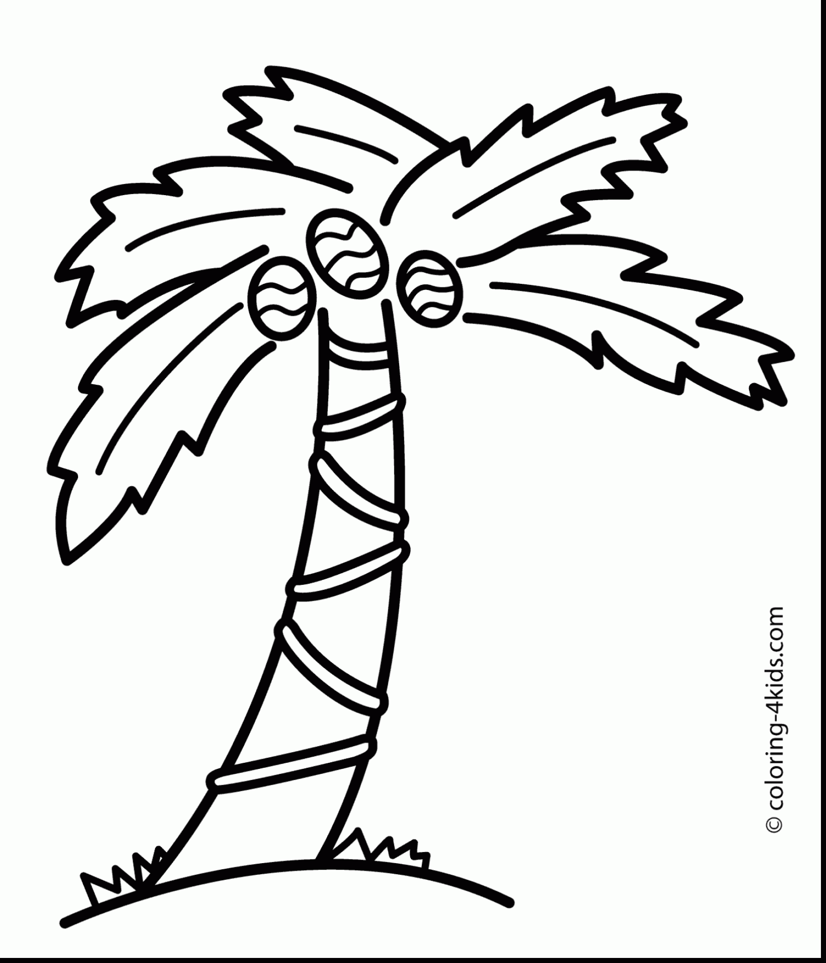 1631x1900 Astounding Palm Tree Beach Outline Drawing With Palm Tree Coloring