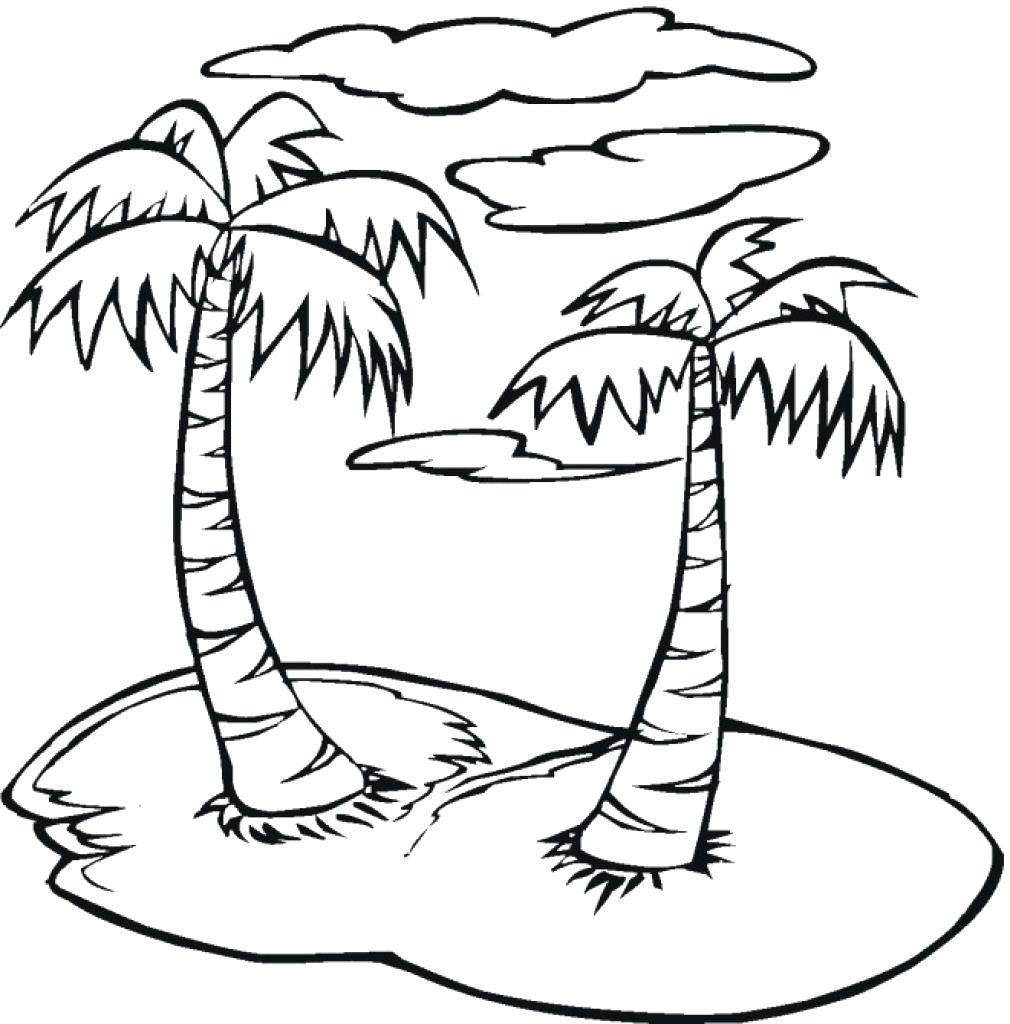 1010x1024 Coloring Palm Tree Coloring Pages