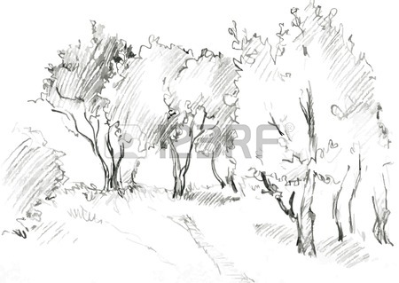 450x319 Drawing Pencil Images Amp Stock Pictures. Royalty Free Drawing