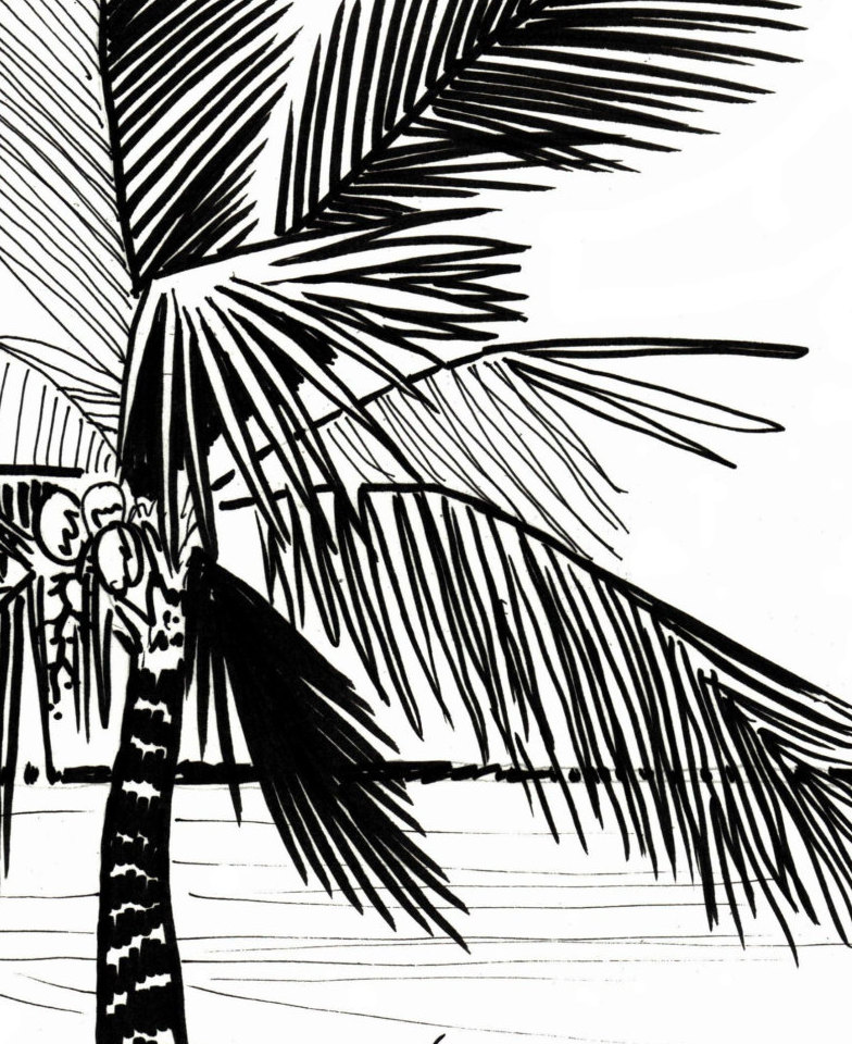 784x960 Palm Tree Coloring Page Embroidery Pattern Digital