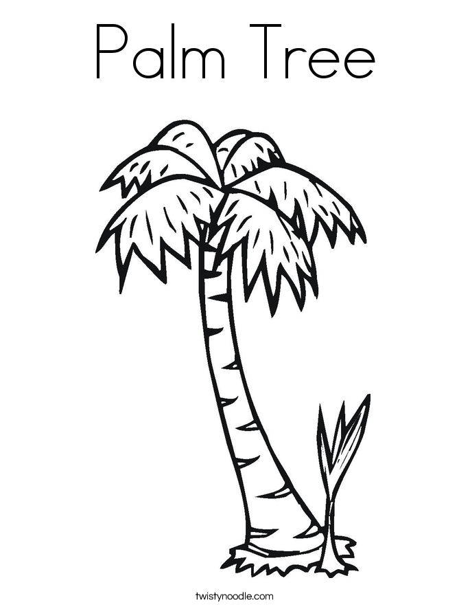685x886 Drawn Palm Tree Coloring Page