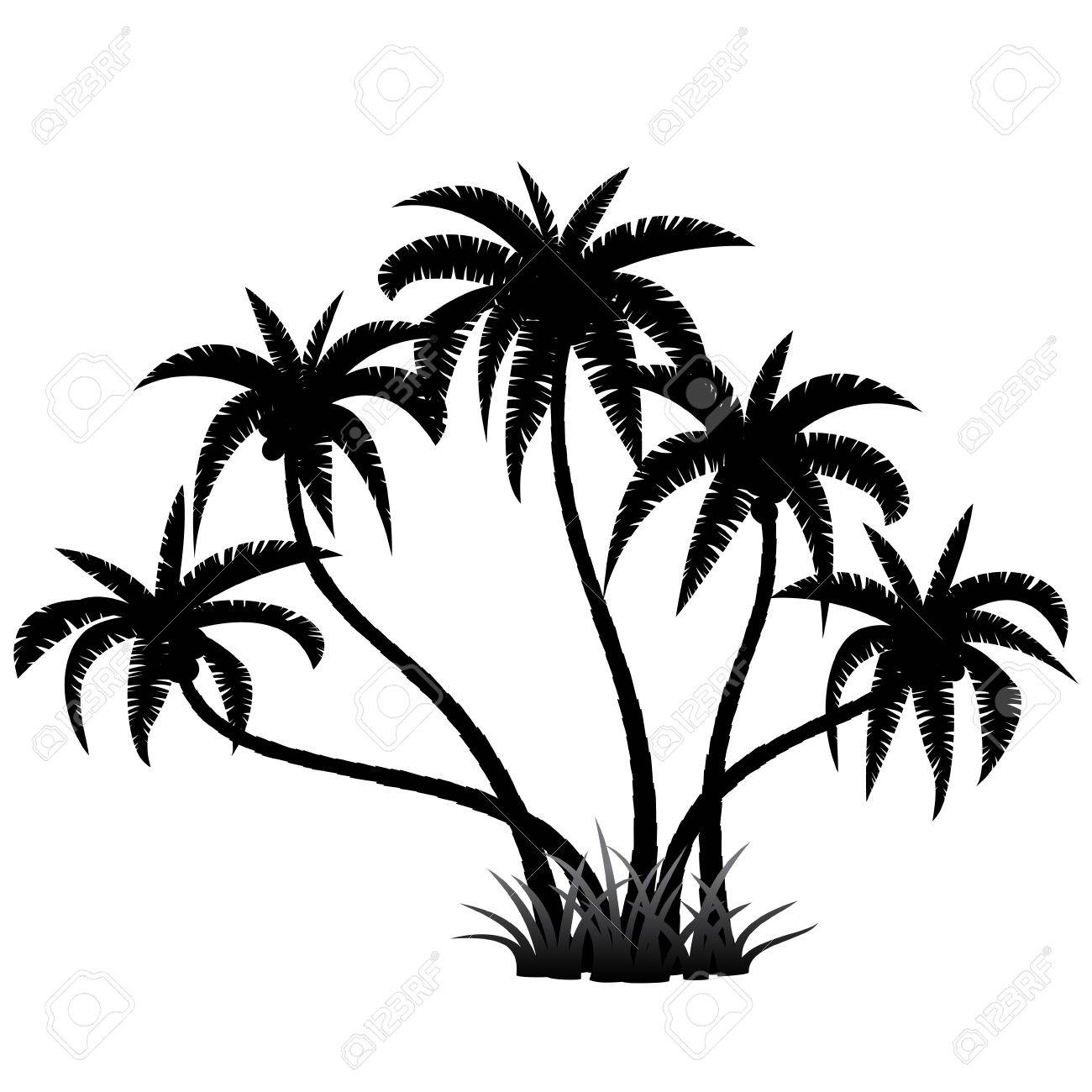 1300x1300 Palm Trees Silhouette On White, Vector Illustration Royalty Free