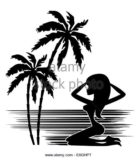 470x540 Tropical Paradise Palm Trees Black And White Stock Photos Amp Images