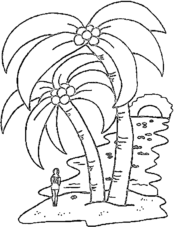 610x794 Palm Tree Coloring Pages Adult Coloring Adult