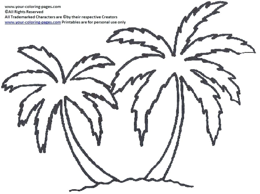 1024x764 Date Palm Tree Coloring Pages Line Drawing Page Best Coloring