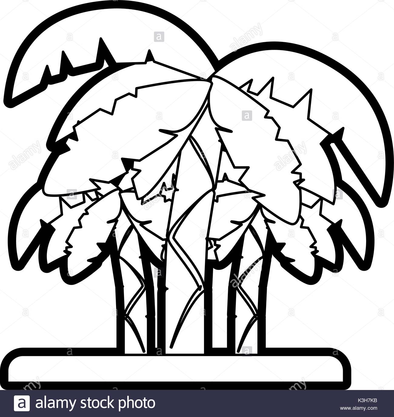 1300x1374 Palm Tree Illustration Black And White Stock Photos Amp Images