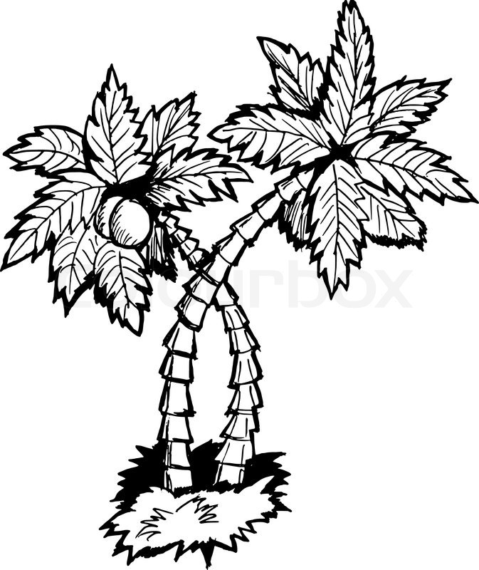 673x800 Palm Tree Stock Vector Colourbox