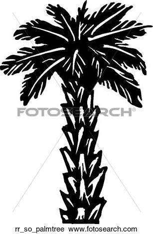 307x470 Palm Tree Bark Clipart