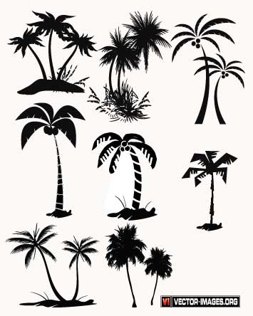 355x444 Pin By Carola Onland On Silhouette Tree Print, Palm