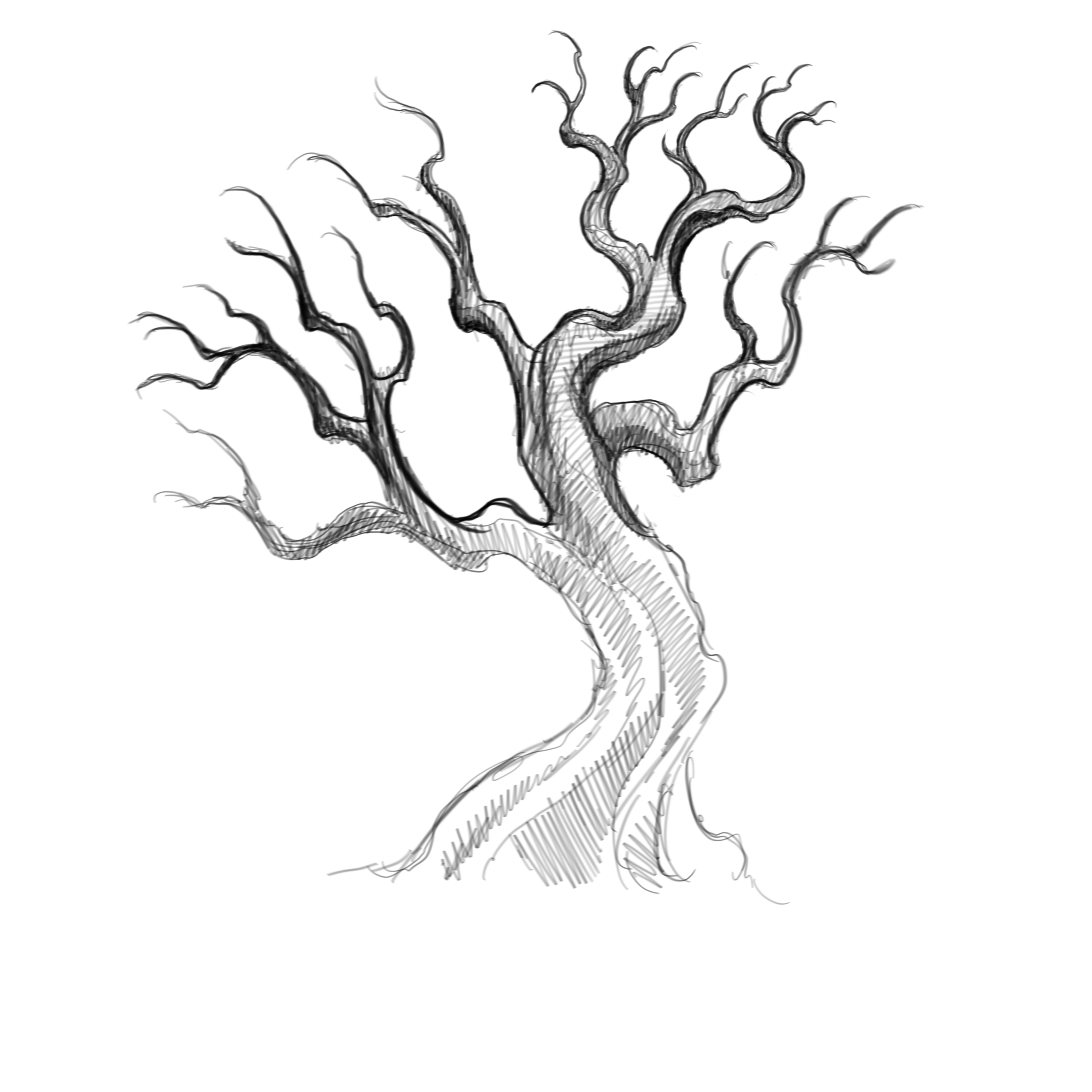 4000x4000 Sketch A Tree By Pancho Villa