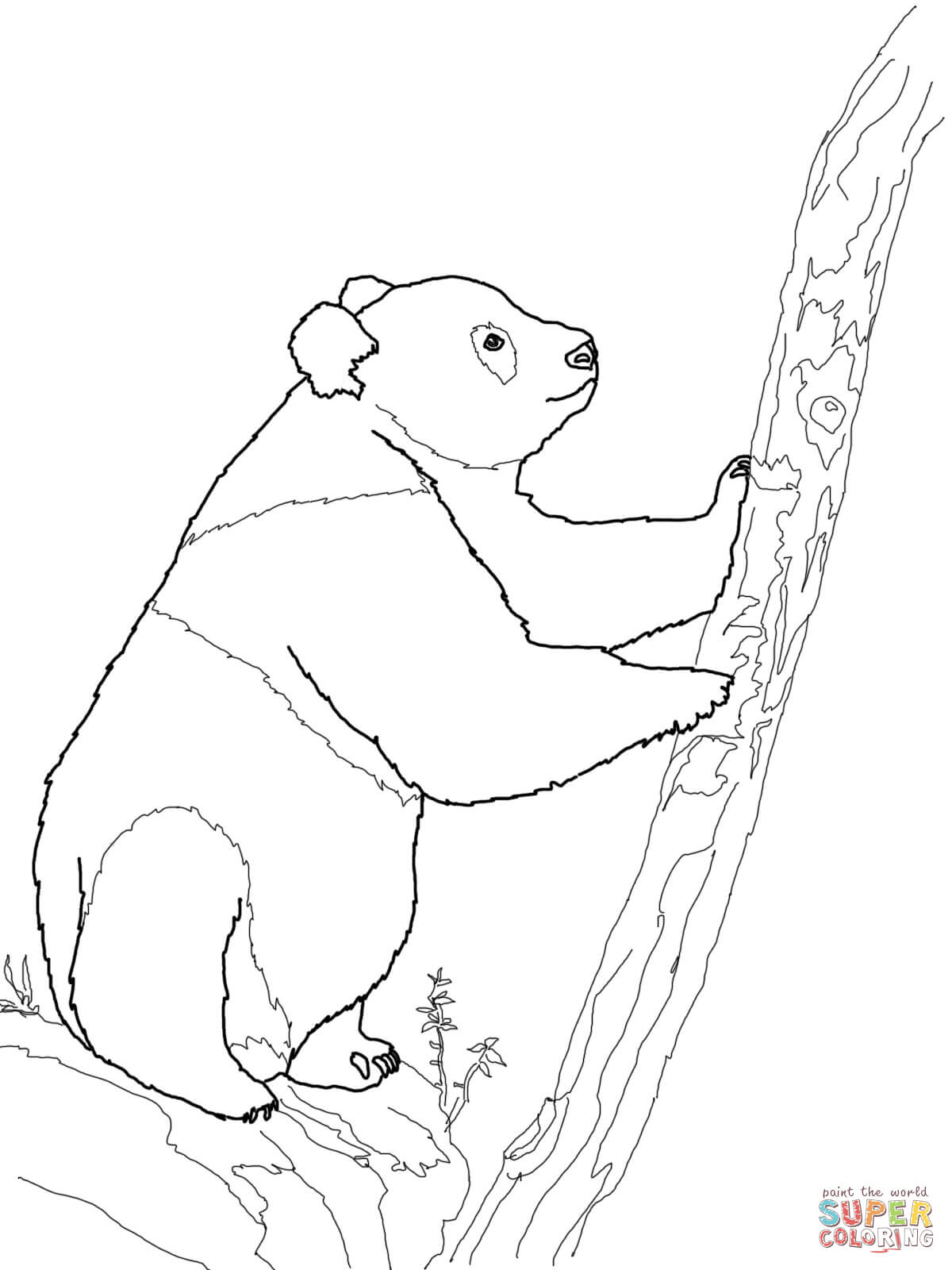 1200x1600 Coloring Pages Coloring Pages Draw A Panda Bear Giant Page