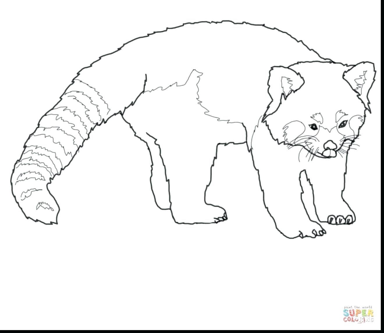 1320x1144 Coloring Panda Bear Coloring Page Care Bears Pages Birthday Color