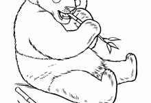 220x150 Coloring Pages Draw A Panda Bear