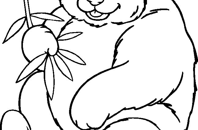 648x425 Coloring Pages Coloring Pages Draw A Panda Bear 68 For Your