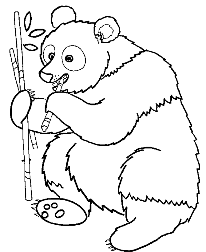 670x820 Coloring Pages Draw A Cartoon Panda