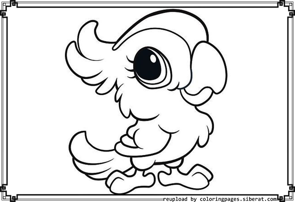 1024x700 Cute Baby Animal Coloring Pages