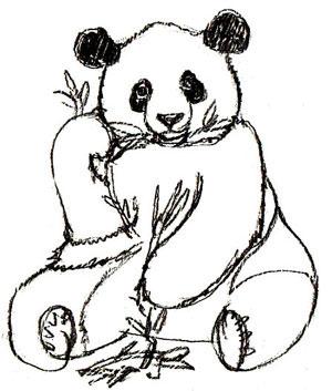 300x353 Free Coloring Pages. Drawing Panda With Step By Step Instructions