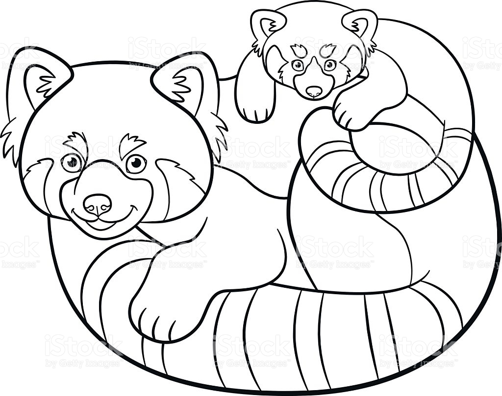 1024x809 Great Panda Pictures To Color 43