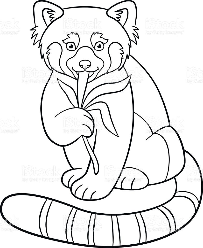 841x1024 Cute Panda Coloring Pages To Copy