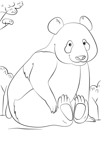 340x480 Cute Panda Coloring Page Free Printable Coloring Pages