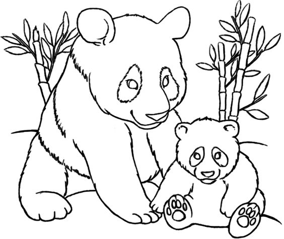 564x475 Coloring Pages Draw A Panda Bear Cute Panda Bear Coloring Page H M