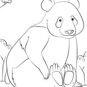 300x300 Cute Panda Coloring Pages To Copy
