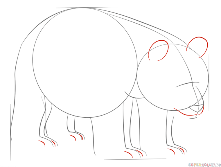 761x575 How To Draw A Giant Panda Step By Step Drawing Tutorials Kids