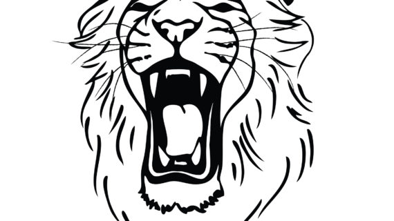 570x320 Simple Lion Face Drawing Lion Roaring Drawing Clipart Panda