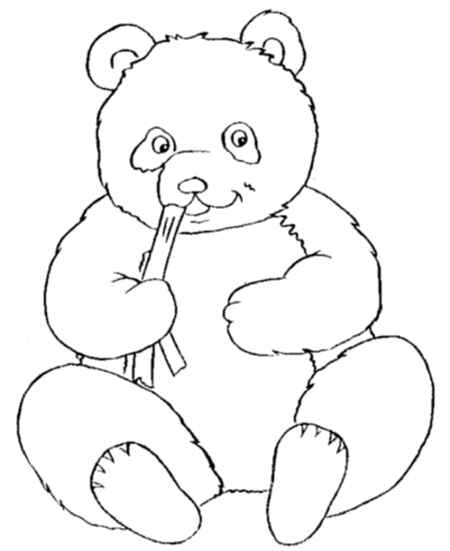 450x551 Baby Panda Coloring Pages For Kids
