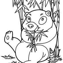220x220 Panda Coloring Pages, Drawing For Kids, Videos For Kids, Kids