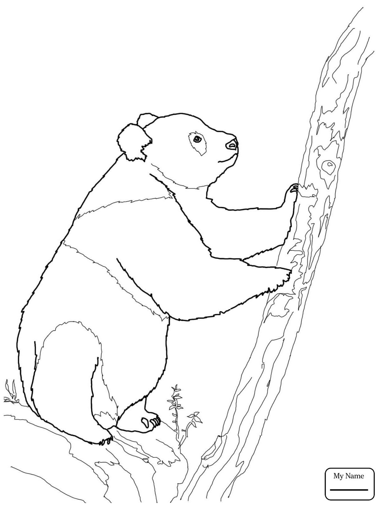 1224x1632 Coloring Pages Cute Panda Family Mammals