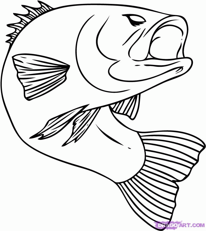 788x882 Fish Drawing Pictures