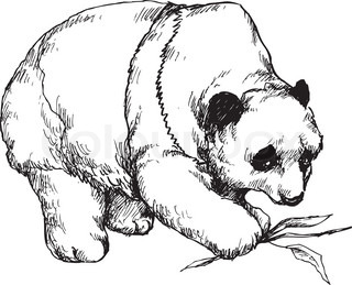 320x259 Drawing Baby Panda With Branch Of Bamboo Stock Vector Colourbox