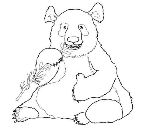480x445 Funny Panda Coloring Page Free Printable Coloring Pages
