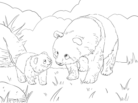 480x360 Mother Panda With Cute Cub Coloring Page Free Printable Coloring