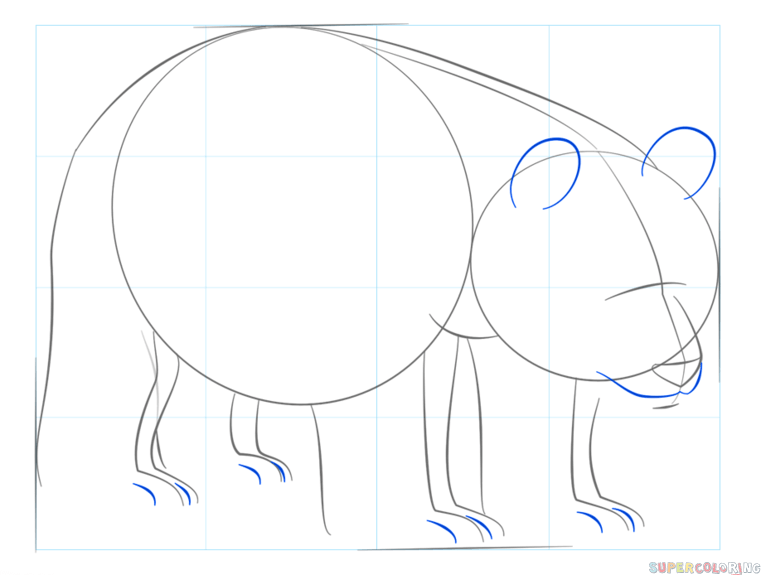 761x575 How To Draw A Giant Panda Super Coloring