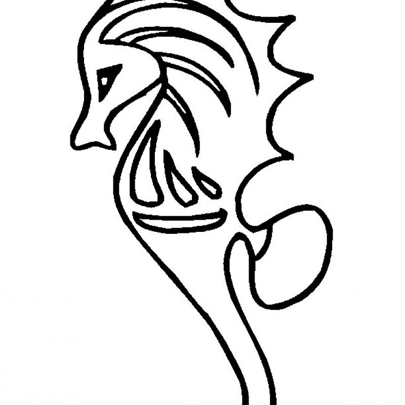 800x800 Seahorse And Mermaid Coloring Pages Drawing For Kids Seahorses