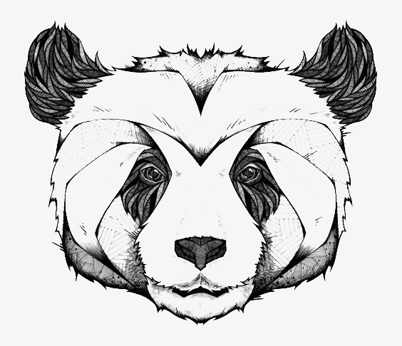 564x486 Panda, Black And White, Line Png Image For Free Download