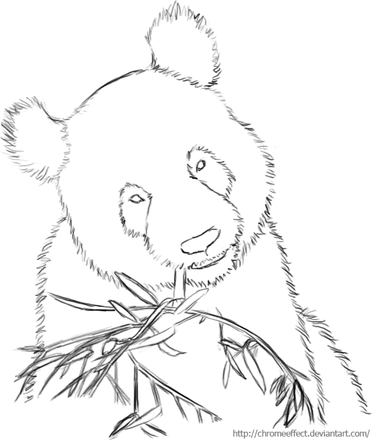 540x638 Free Panda Lineart By Chromeeffect