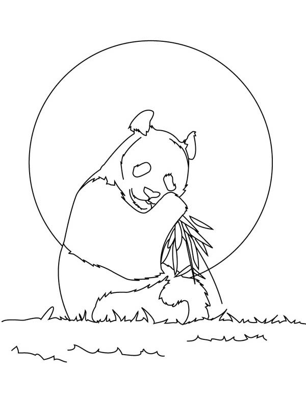 600x776 How To Draw Panda Coloring Page Coloring Sun
