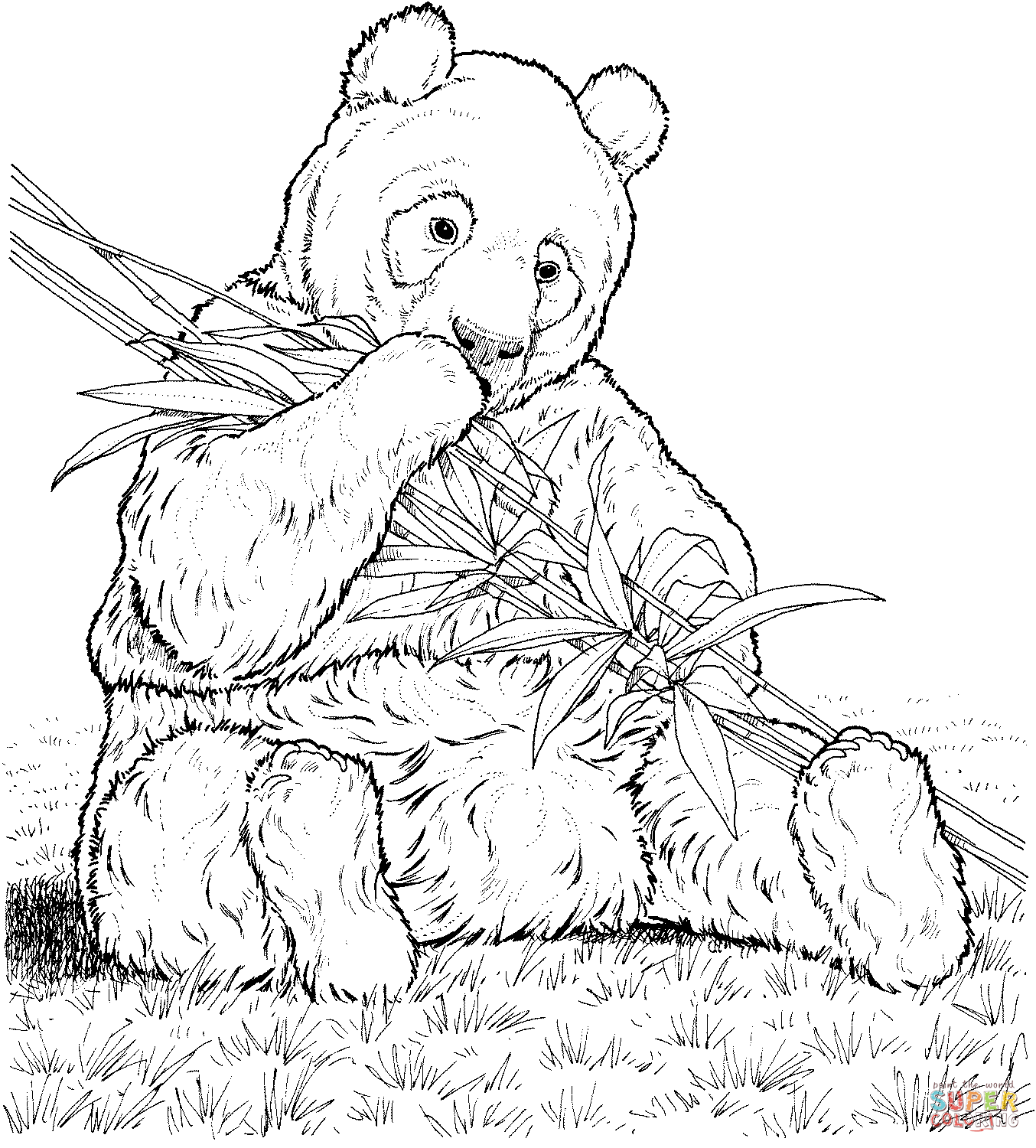1354x1500 Panda Eats Bamboo Coloring Page Free Printable Coloring Pages