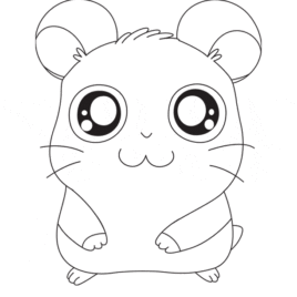 268x268 Baby Panda