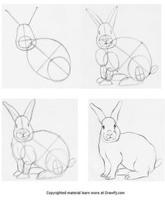 236x290 How To Draw Animals Hares And Rabbits