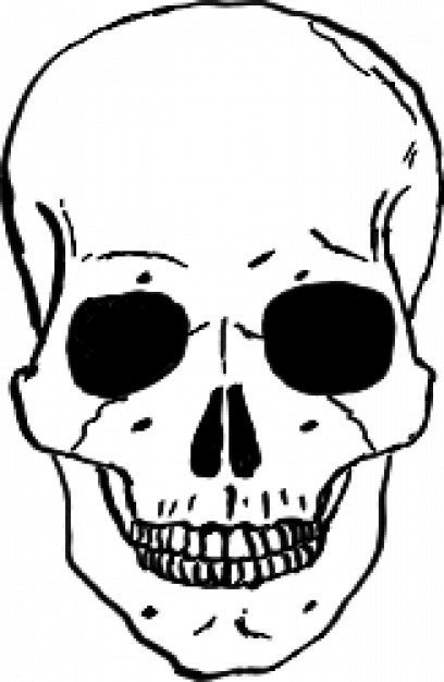 408x626 Clipart Skull