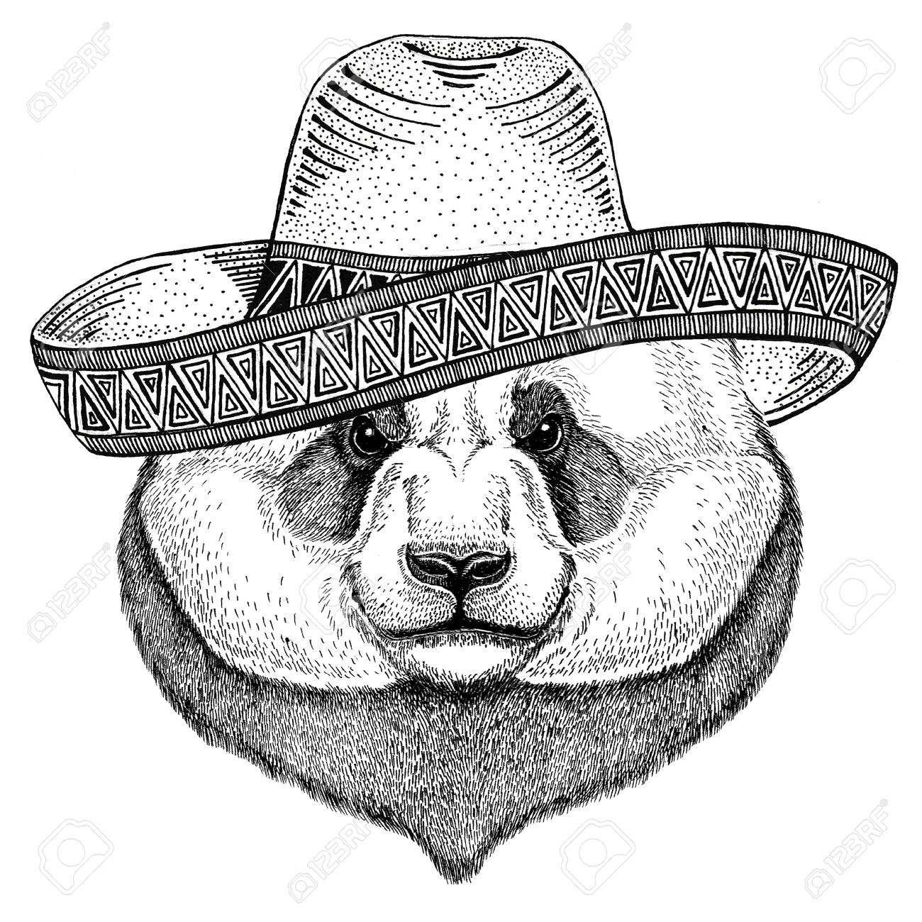 1300x1300 Panda Bear, Bamboo Bear Wild Animal Wearing Sombrero Mexico Fiesta