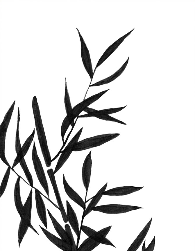 671x865 Bamboo Graphic Archives