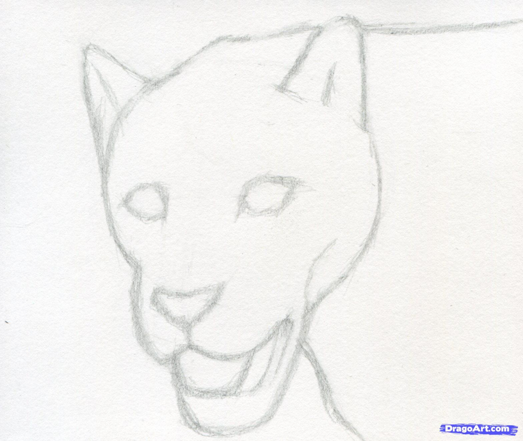 1024x864 Drawing Animals Step By Step Realistic Panda Bear Drawing Drawings