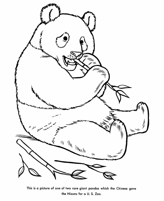 670x820 Coloring Pages Coloring Pages Draw A Panda Bear 30 Animal